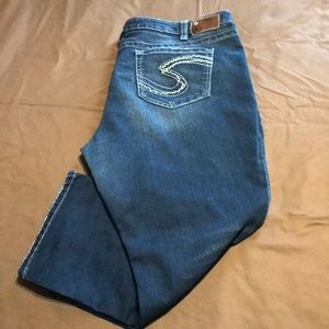 Silver Plus Size Suki Capri